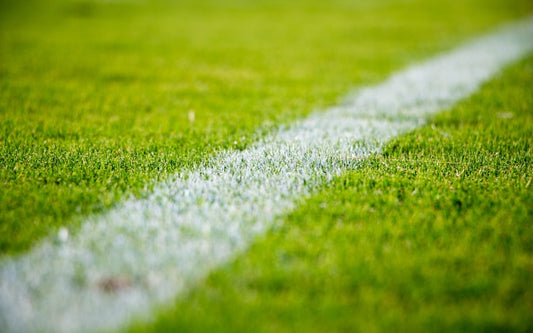 World Cup 2026 soccer stadium packed with fans