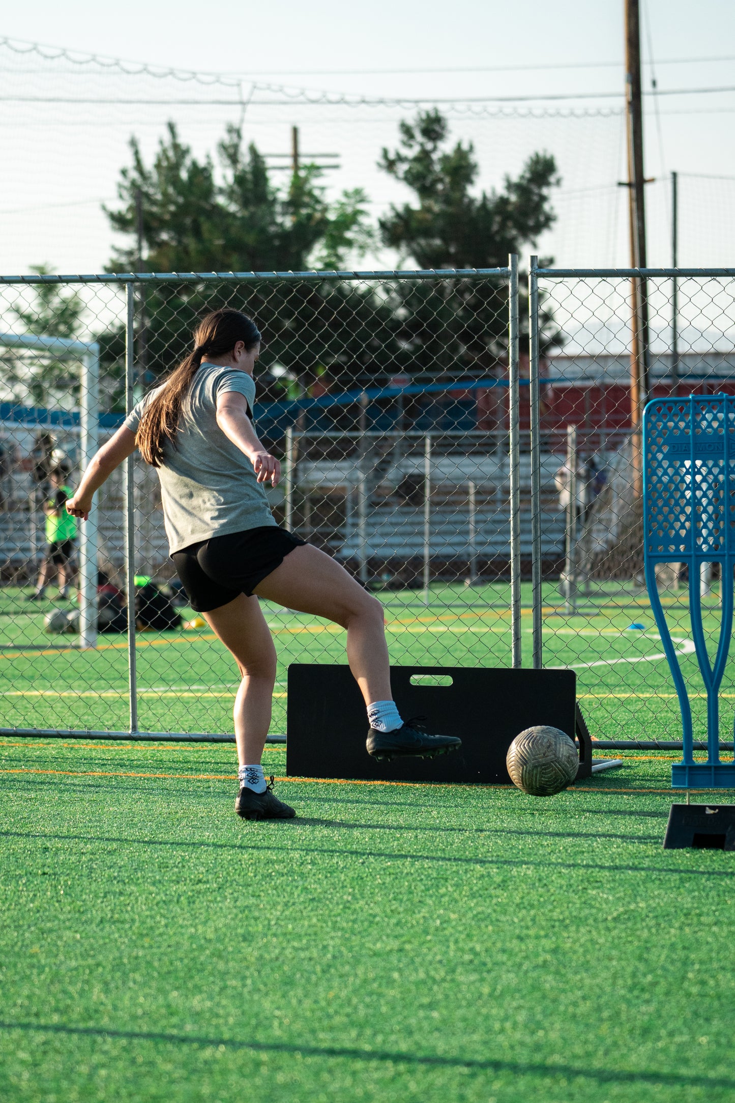 Pro Series rebounder board showing durable frame and bounce surface